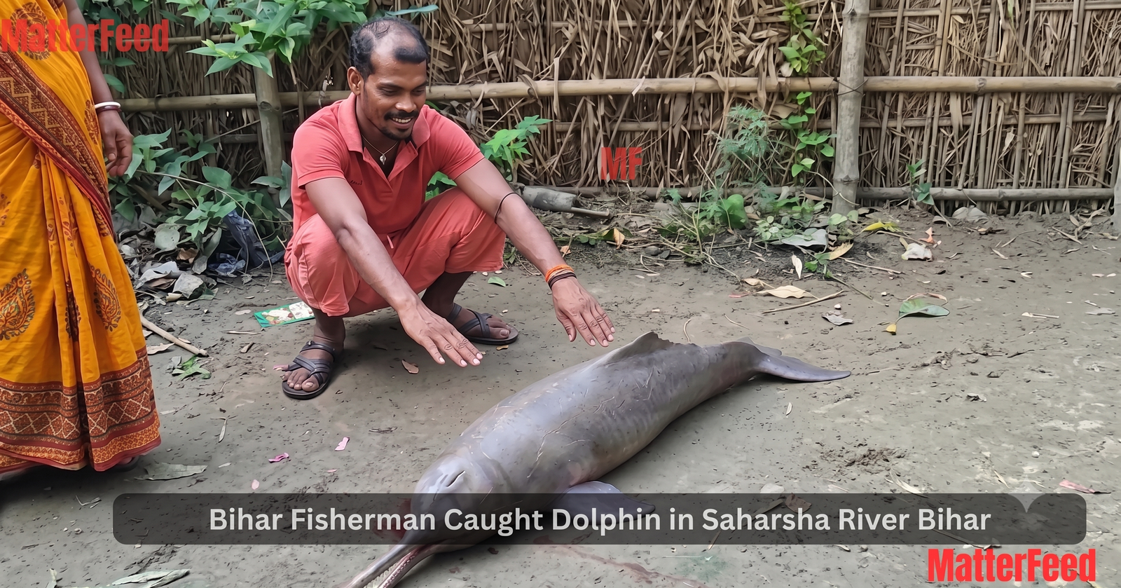 Man kills rare Gangetic dolphin in Bihar, man missing after FIR was filled